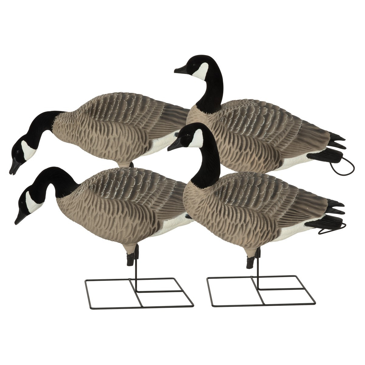 BANDED PG XD Canada Geese Decoy - Harvester 4 Pack | KYGUNCO