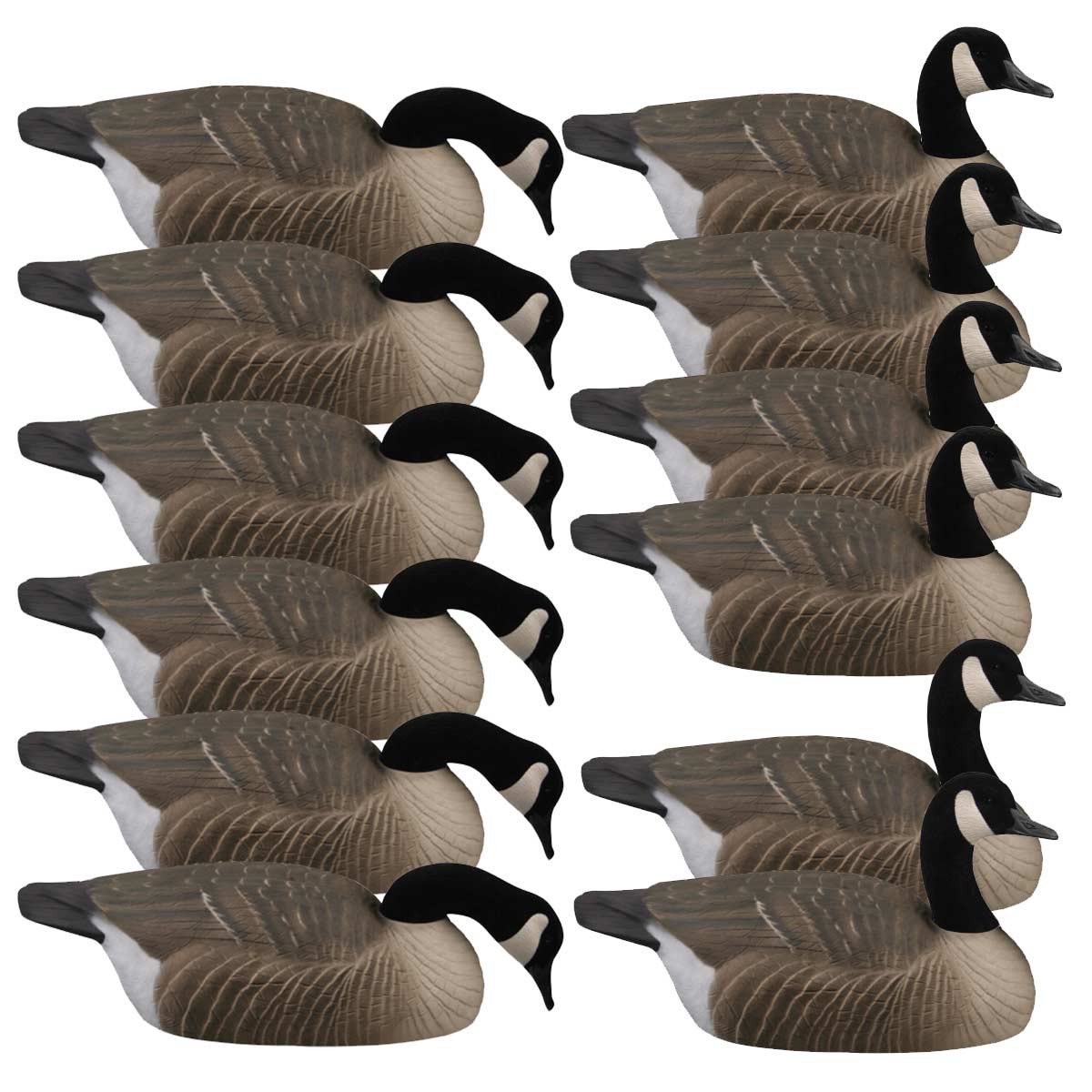 AVERY ES Canada Geese Decoys / Motion Stakes 12 Pack KYGUNCO